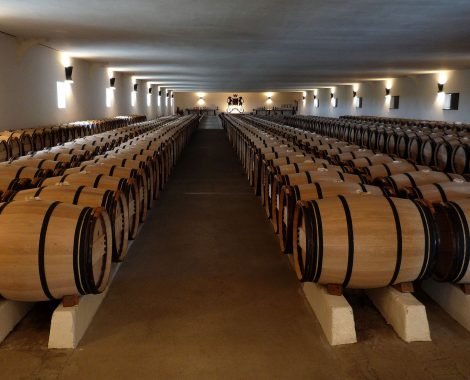Château_Mouton_Barriques